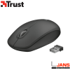 Rato Trust ZIVA – Image 3