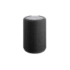 Coluna Bluetooth Audio Pro A10 - Dark Grey