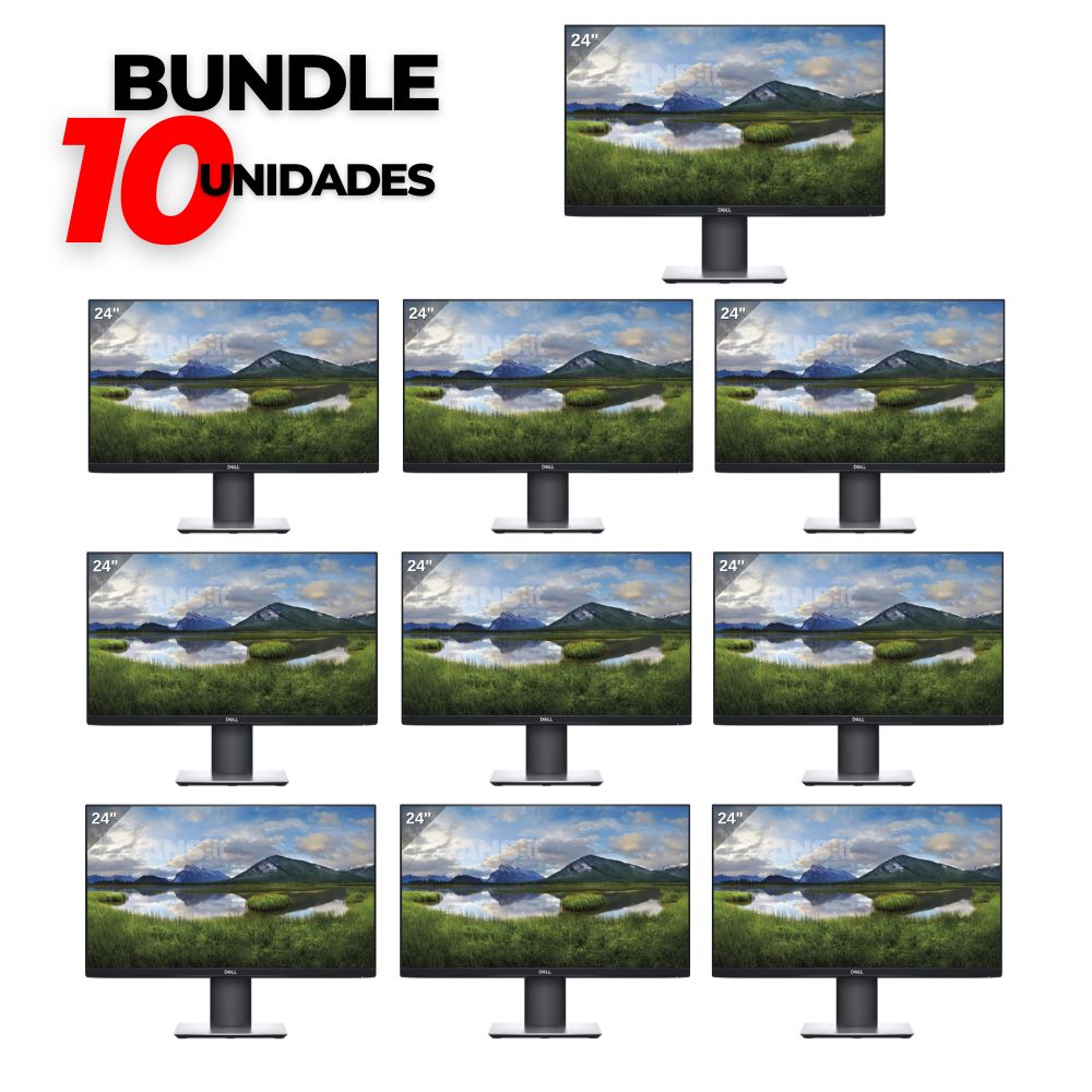 Bundle 10 Unidades Dell P2419H